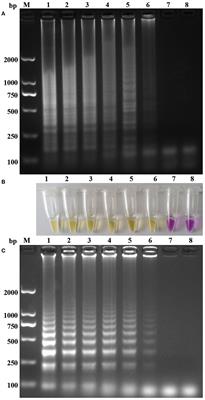 Simple and Visible Detection of Novel Astroviruses Causing Fatal Gout in Goslings Using One-Step Reverse Transcription Polymerase Spiral Reaction Method